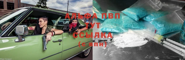 молекула духа Гусев