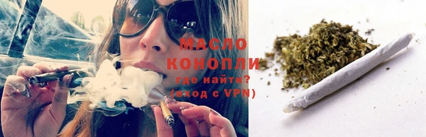 молекула духа Гусев