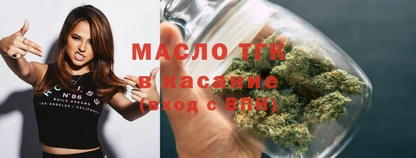 молекула духа Гусев
