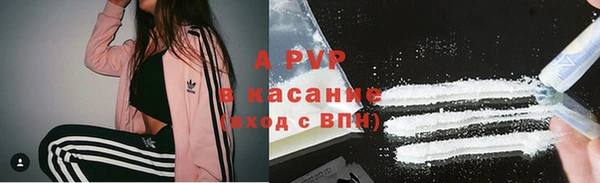 молекула духа Гусев