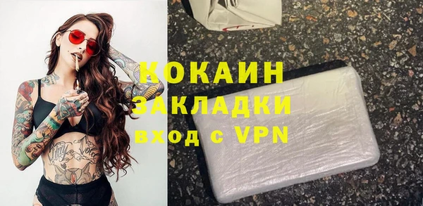 молекула духа Гусев