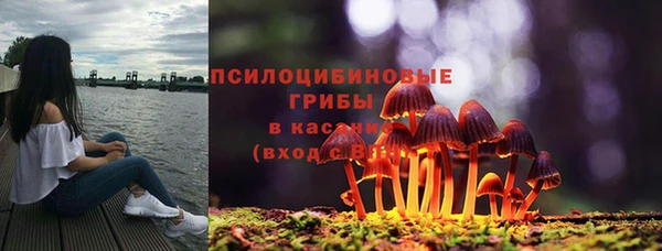 MDMA Гусь-Хрустальный