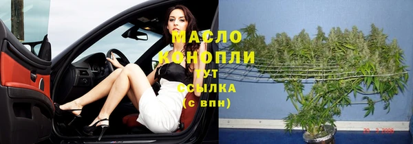 молекула духа Гусев