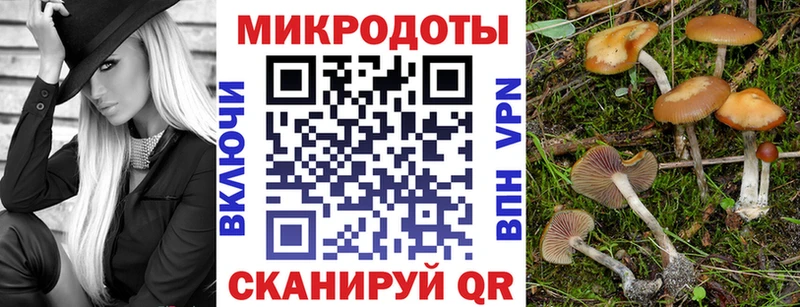 Галлюциногенные грибы мицелий  Купить где  Комсомольск 